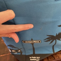 Trader Joe’s Insulated Cooler Tote Bag Pasadena CA Reusable Grocery Blue