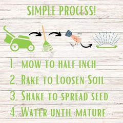 Micro Clover Seed, Organic Coated, Eco-Friendly, Low Growing, Low Maintenance