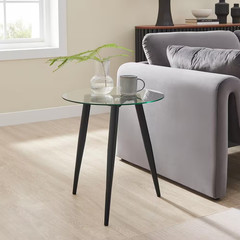 Van Beuren 21.75 In. X 19.75 In. Black and Glass round Side Table with Modern Me