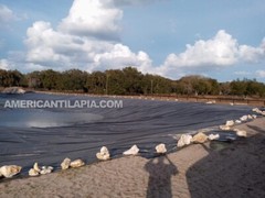 Pond liner 100×80 Strong,HDRPE 40 year Durability,Commercial grade for Fish pond