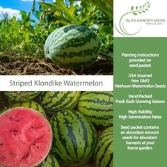 Striped Klondike Blue Ribbon Watermelon Seeds (Citrullus lanatus) – 100+ Non