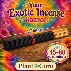 EGYPTIAN MUSK Incense Sticks 11″ Bulk Pack Wholesale Hand Dipped Lot