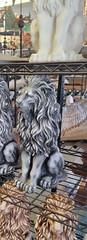 Lion Concrete STATUE.SOLD As SHOWN 15”H X 6w X 8L