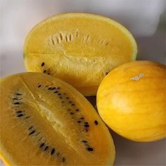 20+ Watermelon Seedss (Citrullus lanatus) Bundling 4 Cultivar Garden Package