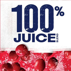 Ocean Spray 100% Juice Cranberry Juice Blend – 101.4 fl oz Bottle New