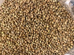 Ripkitty Premium Whole Hemp Seeds Nuts Organic Free Shipping