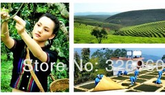 High Quality Ripe Pu erh Tea 100g Slimming Tea Old Pu er Black Tea Health Care