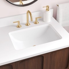 Signature Hardware 498227 Rainsville 18″ Vitreous China Undermount Bathroom Sink