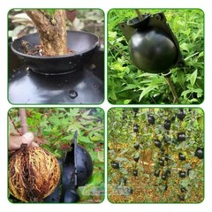10pcs 8cm Plant Rooting Grow Box High Pressure Propagation Ball Air Layering Pod
