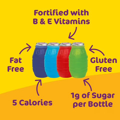 Little HUG Fruit Barrels Kids Drinks Variety Pack, 8 fl oz, 40 Count