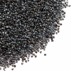 1LB 1 Pound Premium Finest Poppy Seeds Original Fresh Harvest