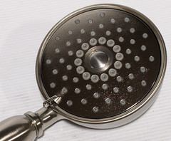 KOHLER Bancroft Multi Function Hand Shower in Vibrant Brushed Nickel 22163-BN