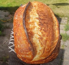 VERIFIED Sourdough Starter Heritage San Francisco – Live 200yrs Old BEST SELLER!