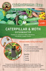 Bug Sales Caterpillar & Moth Exterminator – Trichogramma 3 Squares/ 10,000 Eggs