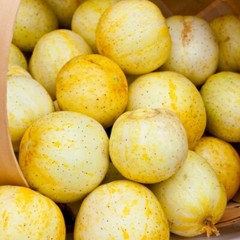 Lemon Cucumber Seeds | Non-GMO | Free Shipping | Seed Store | 1059