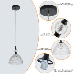 Modern Black Metal Clear Glass Pendant Light 7.68 in Globe Light Fixture with Cl