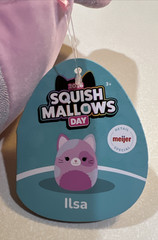 NEW 2026 Squishmallow ILSA THE CAT MEIJER EXCLUSIVE