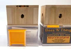 Lot of 2 Bees N Things Carpenter Bee Hanging Insect Trap with 15 ft. Coverage