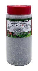 NaturesGoodGuys – Neoseiulus californicus – Predatory Spider Mite Control