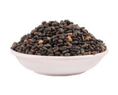 YUVIKA Beej Indrain – Beej Indrayan – Citrullus colocythis – Indrayan Seeds