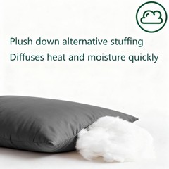 Flat Ultra Thin Bed Pillows Standard/Queen Size Pillow Set of 2 Extra Soft Do