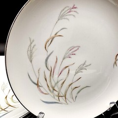 Norcrest AUTUMN BREEZE 10.25” Dinner Plates SET/4 Porcelain Silver Rim VTG Japan