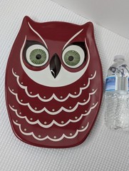 Vintage Katie Brown Owl Serving Platter Meijer Whimsical Red White Green Eyes