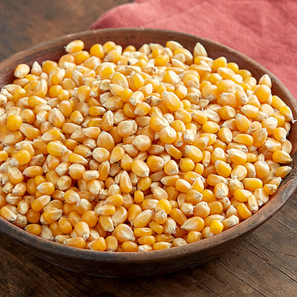 Bulk Reist Popcorn Kernels, Mushroom, Yellow and White Butterfly, Organic