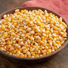 Bulk Reist Popcorn Kernels, Mushroom, Yellow and White Butterfly, Organic