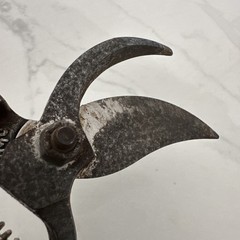 Vintage Corona BP 3160 1113V Standard Hand Pruning Shears