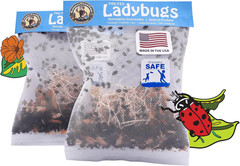 3000 Live Ladybugs – (2 X 1500 Live Ladybugs) – Guaranteed Live Delivery!