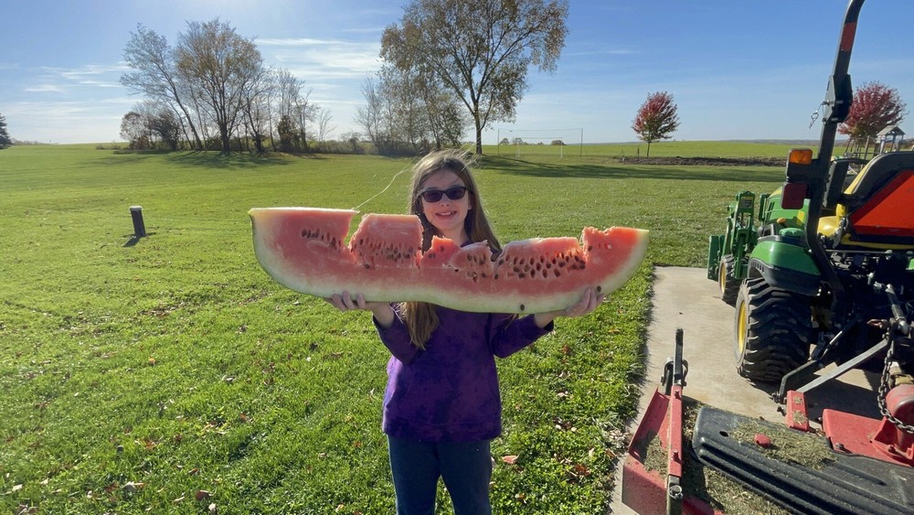 222 Lb Giant Watermelon. $25For 5 Seeds. Free Shipping Worldwide!!