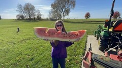 222 Lb Giant Watermelon. $25For 5 Seeds. Free Shipping Worldwide!!