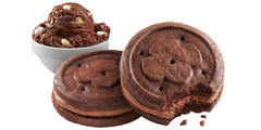 Girl Scouts 8oz EXPLOREMORES Rocky Road Ice Cream Inspired Cookies * BB 9/2026 *