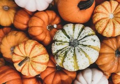 Raw Pepitas (Pumpkin Seeds), Non-GMO Verified – Kosher, Vegan – by Food To Live