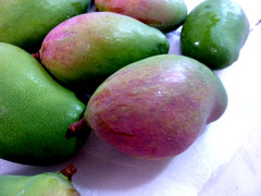 10 BIG Fresh South Florida Mangos VALENCIA PRIDE FRESH ORGANIC FRUIT