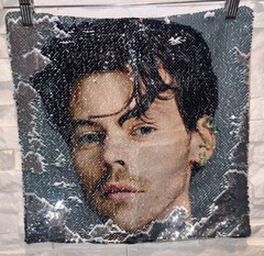 NWOT HARRY STYLES Reversible Flip Sequin Pillowcase Silver & Tan 15″x15″
