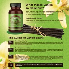 Gourmet Vanilla Bean Paste for Baking & Cooking Madagascar Bourbon w/ Real Seeds