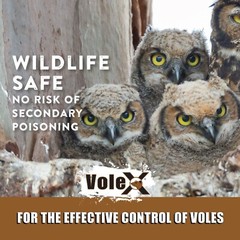 VoleX® – Kills All Species of Voles – Safe for Use Around People and Pets