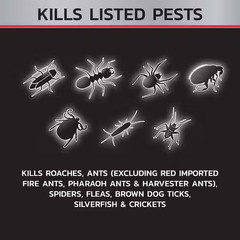 6 Can Fogger Insect Killer Bomb Indoor Bug Roach Spider Flea Tick Bed Kill