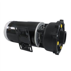 Executive 56-Frame 4HP Dual-Speed Spa Pump, 2in Intake, 2in Discharge