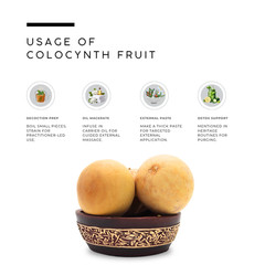 AWAFI MILL Citrullus colocynthis (Bitter Apple • Hanzal) – Dried Whole Fruit