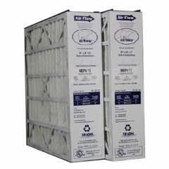 Trion Air Bear 266649-103 (2-Pack) – 20″ x 20″ x 5″ Pleated Air Filter, MERV 13