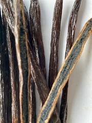 Organic FairTrade Madagascar Vanilla Beans Whole Grade A Pods – Benefits Charity