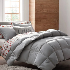 The Company Store LaCrosse Premium LoftAIRE Down Alternative Warmth Comforter