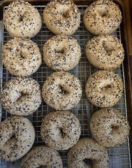 VERIFIED Sourdough Starter Heritage San Francisco – Live 200yrs Old BEST SELLER!