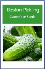 Boston Pickling Cucumber Seeds | NON-GMO | Heirloom | Fresh Garden Seeds