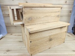 Squirrel House Nesting Box Bird Nature Animals Safety Wooden Cedar Handmade USA