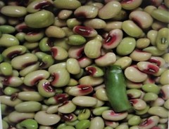 Mississippi Pinkeye 2 Purple Hull Peas Cowpeas Benefits St. Jude