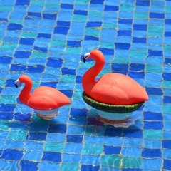 XY-WQ Flamingo Chlorine Floater for 1″ Tab ONLY, Mini Floating Pool Chlorine